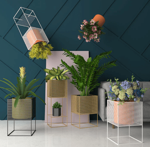 Green Oasis: Elevating Indoor Plants with Stylish Plant Stands