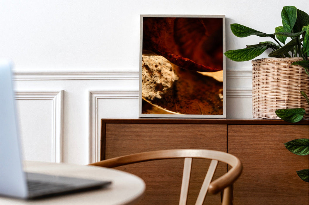 "Ambergris" Framed/Unframed Abstract Photography W16.0xL24.0" / W40.6xL61.0cm