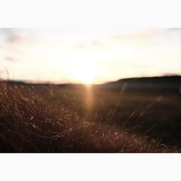 "Pastoral" Framed/Unframed Photography