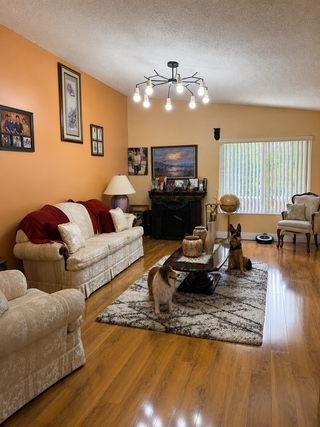 Private House, Morganville, NJ - living room with black branching flush-mount chandelier over cream sofas