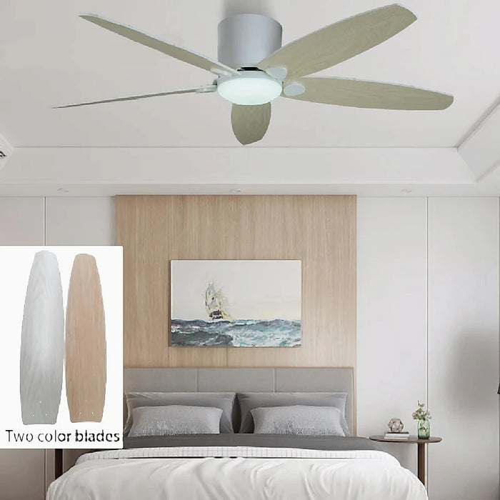 Bargagli | Fashion Ceiling Fan with Lamp and Remote Control