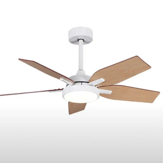 European Styled Solid Light Wood Ceiling Fan with Remote Control | 60"