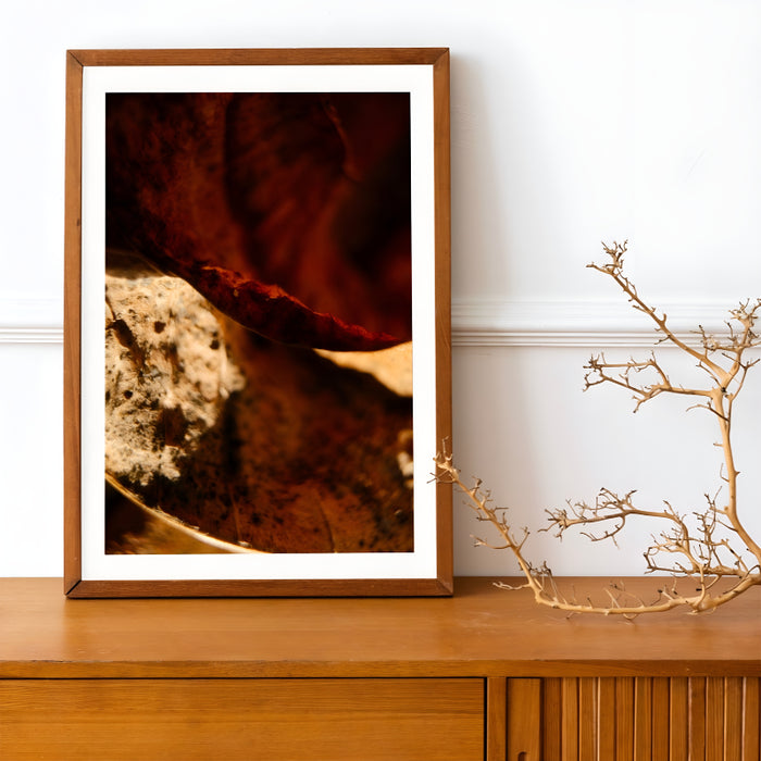 MIRODEMI® "Ambergris" Framed/Unframed Abstract Photography for Dining Room