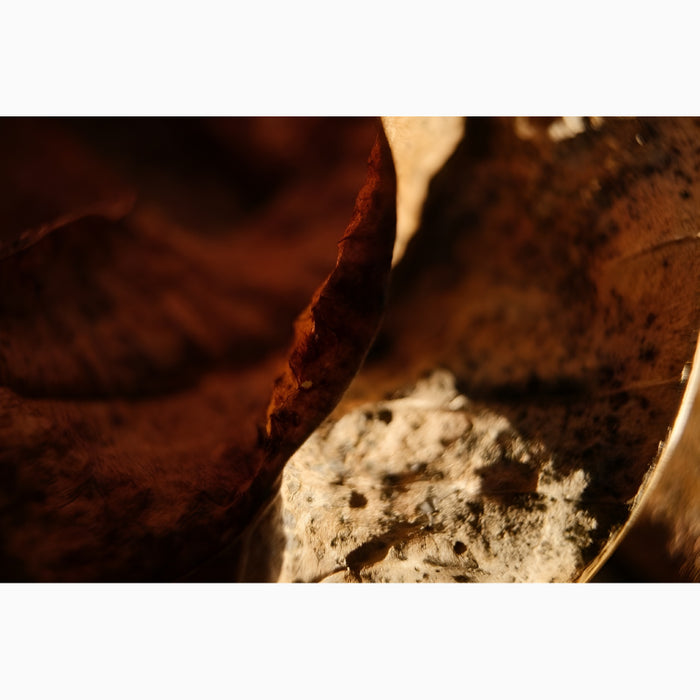 MIRODEMI® "Ambergris" Framed/Unframed Abstract Photography