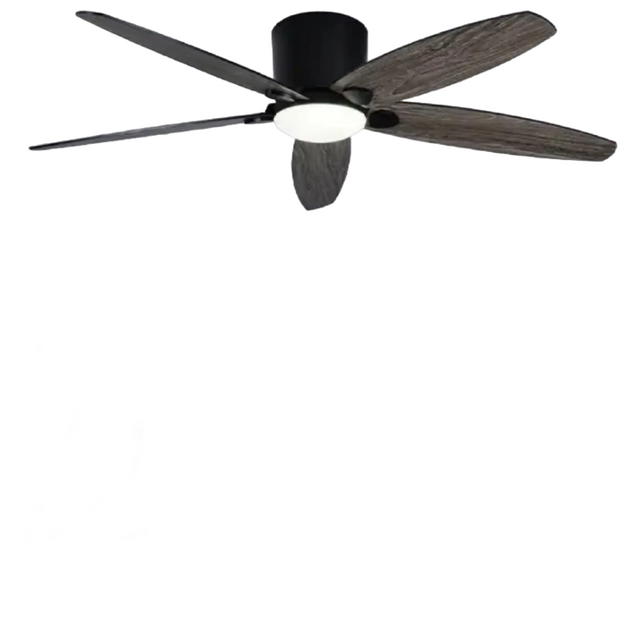 Bargagli | Fashion Ceiling Fan with Lamp and Remote Control