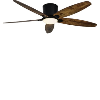 Bargagli | Fashion Ceiling Fan with Lamp and Remote Control