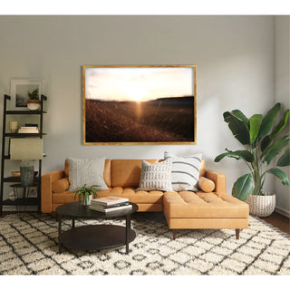 MIRODEMI® "Pastoral" Framed/Unframed Photography for Living Room