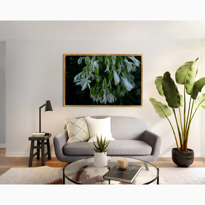 MIRODEMI® "Snowdrops" Framed/Unframed Photography for Home