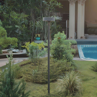 Tall outdoor LED path light with a sleek round head, placed in a lush garden near a pool