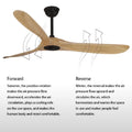 Decorative Led Light Light Colour Ceiling Fan With Remote Control | 42"