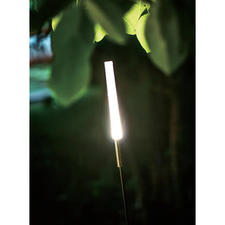 Bulrush-inspired LED garden light softly glowing in a natural outdoor setting