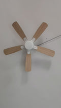 52" Indoor Led Ceiling Fan with Lamp and Remote Control