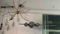 Alberona | Chic Minimalistic Modern Glass LED Chandelier