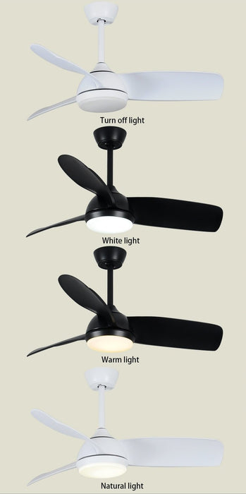 MIRODEMI® 42" Decorative Led Light Black Ceiling Fan With Remote Control image | luxury furniture | ceiling fan with lighting
