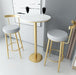 Nordic-Styled Minimalistic Golden Bar Stool with Backrest image | luxury furniture | luxury bar stools | stools with backrest