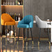 Modern Rotating High Bar Chair with Backrest for Living Room and Restaurants image | luxury furniture | luxury bar stools