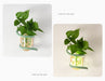 MIRODEMI® Creative Wall lamp with Decorative Plant for Bedroom, Corridor image | luxury lighting | decorative plant wall lamp