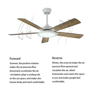 MIRODEMI® 52" Led Ceiling Fan with Plywood Blade and Remote Control image | luxury furniture | ceiling fans with lamp