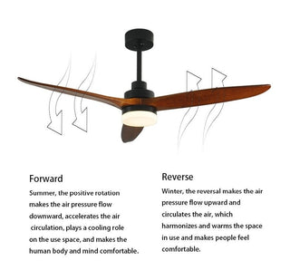 MIRODEMI® 52" Modern Solidwood LED Ceiling Fan with Remote Control image | luxury furniture | ceiling fans with lamp