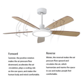 MIRODEMI® 52" Indoor Led Ceiling Fan with Lamp and Remote Control image | luxury furniture | ceiling fans with lighting