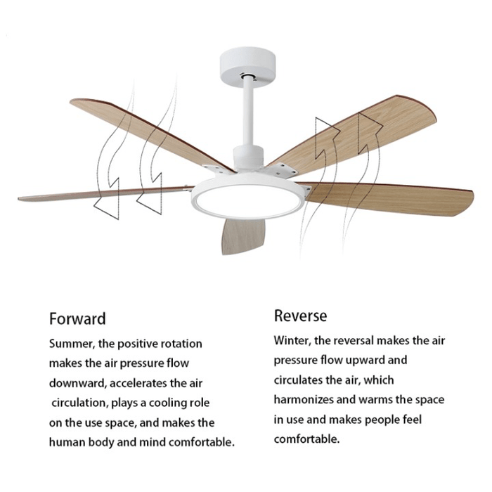 MIRODEMI® 52" Indoor Led Ceiling Fan with Lamp and Remote Control image | luxury furniture | ceiling fans with lighting