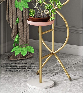 Multi-Layer Indoor Iron Flower Stand for Indoor Porch, Living Room, Balcony image | luxury furniture | luxury flower stands