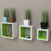 Wall Cube Shelves 3 Sizes Green / 3