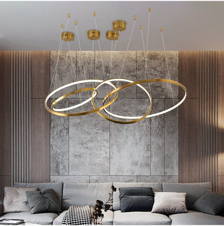 Large ring stainless steel chandelier for a hall